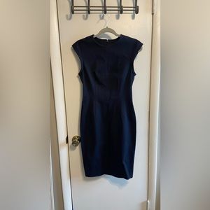 Banana Republic Structured Dress